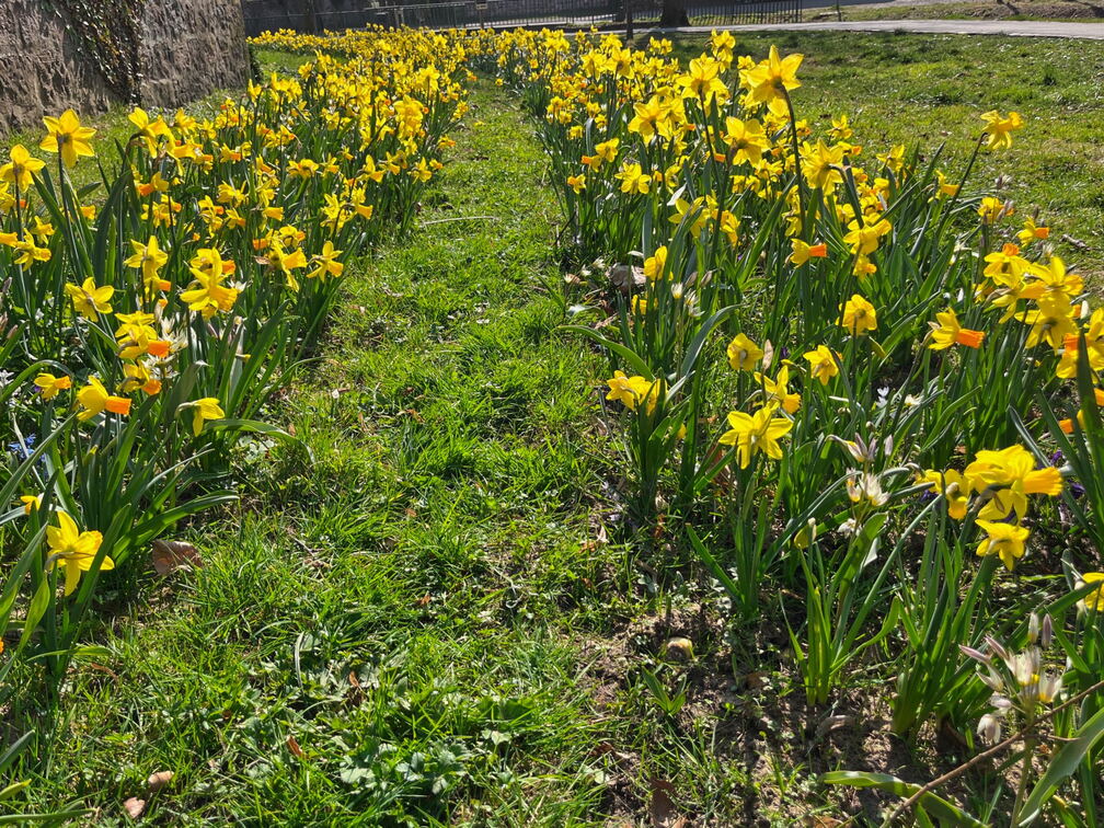 51F2F9F7-E691-42DD-A95E-4FCFCAF971E8-22244-0000051440CD7F49